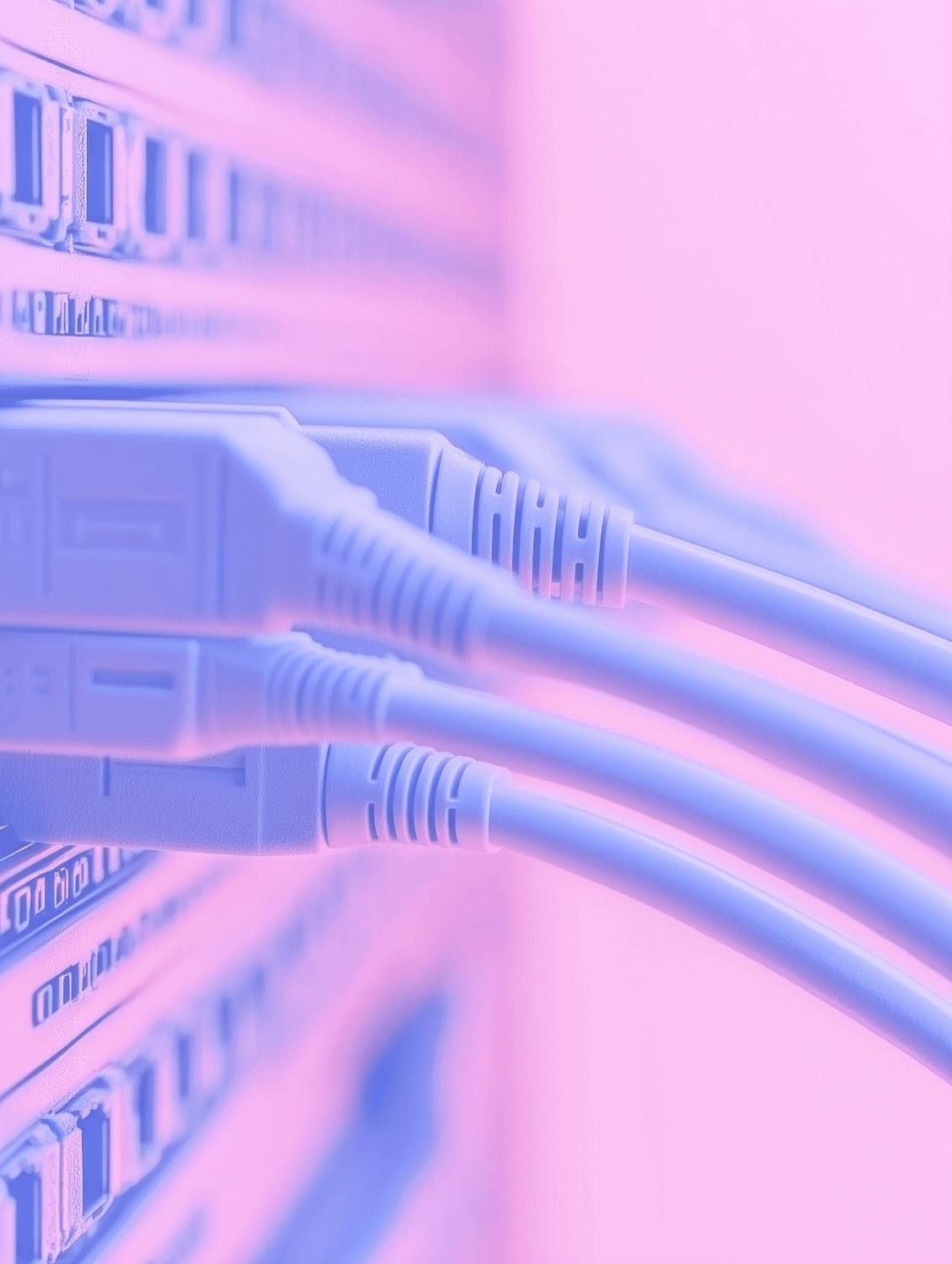 Network patch cables plugged into a row of switch ports